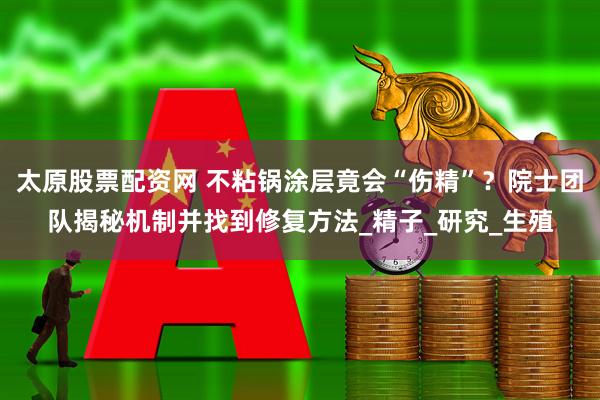 太原股票配资网 不粘锅涂层竟会“伤精”？院士团队揭秘机制并找到修复方法_精子_研究_生殖
